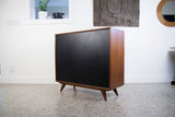 Karl Erik Ekselius for J.O. Carlsson Swedish Cabinet with Locking Doors