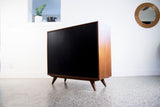 Karl Erik Ekselius for J.O. Carlsson Swedish Cabinet with Locking Doors