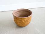David Cressey and Robert Maxwell Thumbprint Planter for Earthgender - 1970s