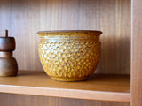 David Cressey and Robert Maxwell Thumbprint Planter for Earthgender - 1970s