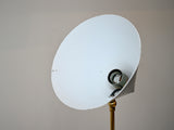 Pair of Luigi Caccia Dominioni LTE 5 Floor Lamps by Azucena