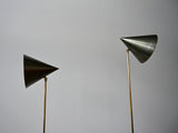 Pair of Luigi Caccia Dominioni LTE 5 Floor Lamps by Azucena