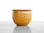 David Cressey and Robert Maxwell Thumbprint Planter for Earthgender - 1970s