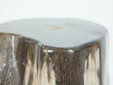 Petrified Wood Stool or Side Table