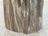 Petrified Wood Stool or Side Table