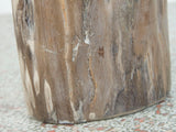 Petrified Wood Stool or Side Table