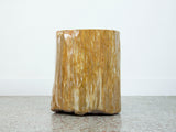 Petrified Wood Stool or Side Table
