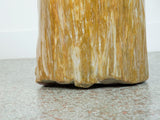 Petrified Wood Stool or Side Table