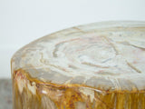 Petrified Wood Stool or Side Table