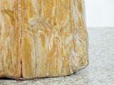 Petrified Wood Stool or Side Table