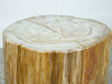 Petrified Wood Stool or Side Table