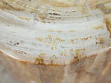 Petrified Wood Stool or Side Table