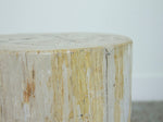 Petrified Wood Stool or Side Table