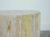 Petrified Wood Stool or Side Table