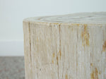 Petrified Wood Stool or Side Table