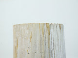 Petrified Wood Stool or Side Table