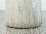 Petrified Wood Stool or Side Table