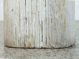 Petrified Wood Stool or Side Table