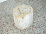 Petrified Wood Stool or Side Table