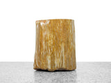 Petrified Wood Stool or Side Table