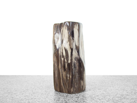 Petrified Wood Stool or Side Table