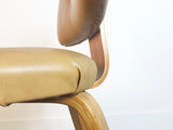 Bent Birchwood Chair by Thonet