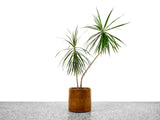 Gainey AC-12 Planter in Earthtone Glaze