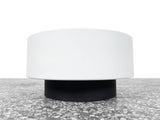 Lightolier Black and White Flush Mount Ceiling Pendant