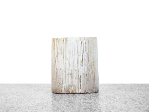 Petrified Wood Stool or Side Table